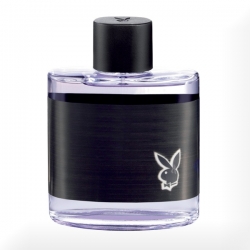 Playboy Hollywood woda toaletowa 100ml