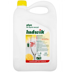 LUDWIK PŁYN DO NACZYŃ 5L CYTRYNA/MIĘTA